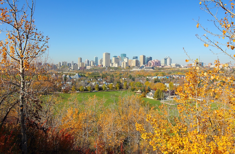 Real Estate Market Update Edmonton